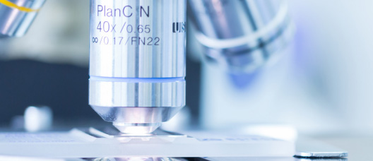 trichogram hair loss solutions